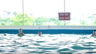 Die Gemeinde Chuong Duong bietet kostenlose Schwimmkurse für benachteiligte Kinder an.