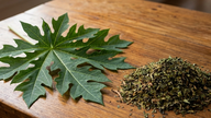 Qual è la scelta migliore: foglie di papaya fresche o foglie di papaya essiccate?