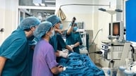Pihak berwenang mengeluarkan lintah hidup sepanjang 12 cm dari saluran pernapasan seorang pasien berusia 8 tahun.