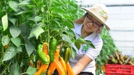 Nhận diện xung lực tăng trưởng khu vực nông - lâm - thủy sản