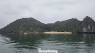 Wenig bekannte Fakten über den vietnamesischen Strand, der es gerade auf die Liste der schönsten Strände der Welt geschafft hat.