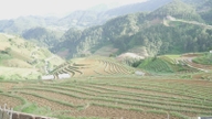 Thiếu nước tưới, danh thắng ruộng bậc thang nổi tiếng nhất Lào Cai vẫn khô khốc, nông dân lo mất khách du lịch