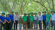 Binh Dien offre soluzioni nutrizionali scientifiche alla regione cambogiana dedita alla coltivazione degli anacardi.