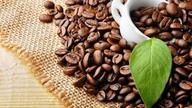 ราคาเมล็ดกาแฟวันนี้ 16 มิถุนายน 2569: ยังคงมีแนวโน้มสูงขึ้นต่อเนื่อง