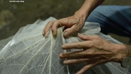 Observez les artisans de HuÃ© transformer des feuilles sauvages de Terminalia catappa en Å“uvres d'art, gagnant ainsi des millions de dongs.