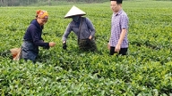 Sebuah komun yang baru digabungkan di kawasan pergunungan wilayah Ha Tinh mencapai rekod pendapatan bajet dalam tempoh enam bulan pertama tahun 2026.