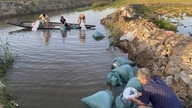 Menyokong model tanaman selingan padi-udang untuk kawasan tanah berasid masin di Duong No.