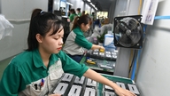 Résolution 10 et nouvelle référence pour les entreprises vietnamiennes.