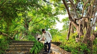 ป่าศักดิ์สิทธิ์ในเมือง: สิ่งต้องห้ามในป่าจุงเซิน