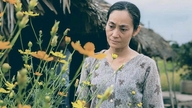 Die verdiente Künstlerin Hạnh Thúy erzielt eine bemerkenswerte Leistung: 6 ihrer Filme in Folge haben jeweils über 100 Milliarden VND eingespielt.