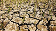 Vzhledem k tomu, že se předpokládá pokračování jevu El Niño, čelí mnoha zemědělským oblastem riziku velkého sucha.