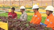 Jadual gangguan bekalan elektrik Lam Dong (dahulunya Binh Thuan) dari 17-21 Jun 2026: Gangguan bekalan elektrik selama 10 jam/hari di banyak kawasan perumahan untuk pembaikan.