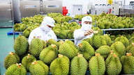 Venant d'apprendre la bonne nouvelle d'un excédent commercial dépassant les 7 milliards de dollars américains, les produits agricoles vietnamiens sont confrontés à un nouveau défi.
