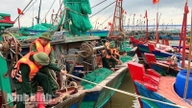 Der Grenzschutzposten Quất Lâm wahrt den Frieden entlang der ehemaligen Küstenlinie Nam Định, die heute Teil der neu fusionierten Provinz Ninh Bình ist.
