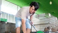 Mang 500 triệu về quê nuôi chồn hương, 8X Cần Thơ thu lãi hơn 1 tỷ đồng/năm