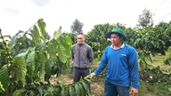 Peningkatan pengentasan kemiskinan di Dang Kang
