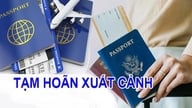 Віце-прем'єр-міністр доручив усунути перешкоди, пов'язані з тимчасовими заборонами на поїздки через податкову заборгованість.