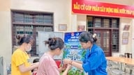 Ngoc Hoi Commune: بیداری سے سبز، عمل سے صاف۔