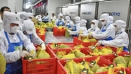 Vinh Long standardisiert die Anbaugebietscodes und ebnet damit den Weg für Durian-Exporte.