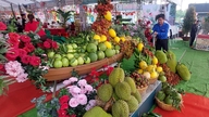 Oppdag «fruktriket» Dong Nai.