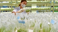 Quyết tâm bứt phá mục tiêu tăng trưởng