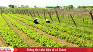 ราคาปุ๋ยที่พุ่งสูงขึ้นทำให้เกษตรกรประสบความยากลำบากในการรักษาระดับการผลิต