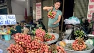 Prezzi sorprendenti dei litchi e scene di compravendita durante la Festa delle Barche Drago a Ho Chi Minh City.