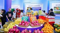 Os frutos da ASEAN convergem em Guangxi (China)