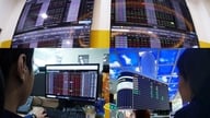 يتميز التدفق النقدي بالتنوع، حيث تقود أسهم الأوراق المالية الارتفاع.