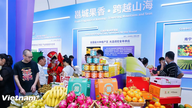 โครงการรวบรวมผลไม้อาเซียนในกวางซี กำลังสร้างความตื่นเต้นอย่างมาก
