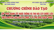 Tổ chức lớp tập huấn GACP-WHO, thúc đẩy phát triển cây dược liệu MS Nữ Hoàng