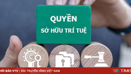 ការកសាងវប្បធម៌ដែលគោរពភាពច្នៃប្រឌិត និងការពារសិទ្ធិកម្មសិទ្ធិបញ្ញា។