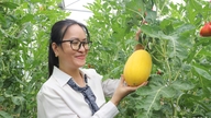 Transformar árvores frutíferas em uma especialidade turística.