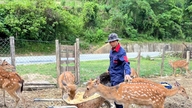 Membuka peluang ekonomi untuk kawasan tanah tinggi: Model ekonomi baharu