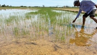 Naléhavě řešit environmentální problémy a pečovat o pole po výsadbě.