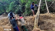 Ryktet om gullbarrer i Hoi Luc-elven i Nghe An-provinsen (tidligere Tuong Duong-distriktet) førte til at trær ble revet opp med roten – det var bare et rykte.