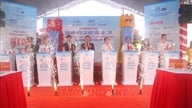 Cérémonie d'inauguration du projet de centrale éolienne japonaise à Bac Lieu