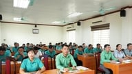 Коммуна Тхуан Ан: 2768 домохозяйств зарегистрированы как выдающиеся производители и предприниматели.