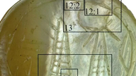 Israel discovers mother-of-pearl seal dating back approximately 2,600 years.