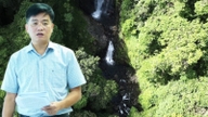 What is considered a "green asset" in the forest that Quang Ngai province, including the former Kon Tum province, is discussing how to exploit?