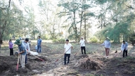 Quang Ngai: Sammeln von Laub und Abfall zur Verhinderung von Waldbränden in Küstenschutzwäldern.