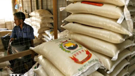 Tailandia tiene como objetivo exportar 7 millones de toneladas de arroz.