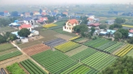 ในการปรับโครงสร้างหมู่บ้านและพื้นที่อยู่อาศัยครั้งล่าสุดในจังหวัดนิงบิงห์ (เดิมคือจังหวัดฮานัมและจังหวัดนามดินห์) เบี้ยเลี้ยงสำหรับเลขาธิการสาขาพรรคได้รับการเพิ่มขึ้นเป็น 3.0