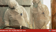Hơn 70 nhân viên y tế bị nhiễm Ebola ở Congo