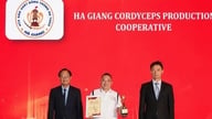Cooperativa Ha Giang Cordyceps: Elevando el valor de valiosas hierbas medicinales con un sustrato de pupas de gusano de seda rico en nutrientes.