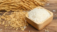قیمت برنج امروز، ۲۱ ژوئن ۲۰۲۶: ثابت مانده است.