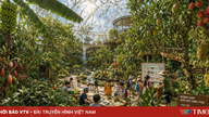 Quand la nature devient une salle de classe pour les enfants au cÅ“ur d'HÃ´ Chi Minh-Ville.
