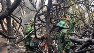 Quang Tri: Dua kebakaran hutan berhasil dikendalikan di tengah gelombang panas.