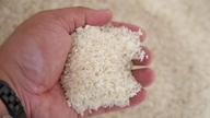 Buques de carga procedentes de Vietnam, Pakistán y Myanmar transportan arroz sin cesar para su venta en un país del sudeste asiático.