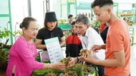 W Da Nang odbywa się międzynarodowa konferencja naukowa na temat żeń-szenia Ngoc Linh.